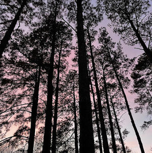 Meet your Posher, Xavier